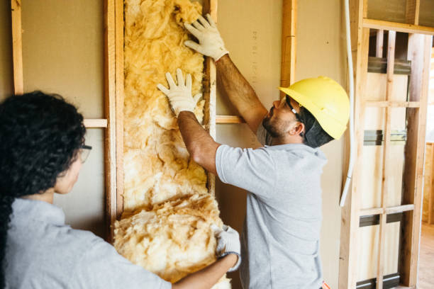 Best Local Insulation Services  in Netcong, NJ